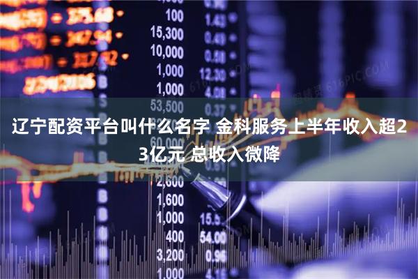 辽宁配资平台叫什么名字 金科服务上半年收入超23亿元 总收入微降
