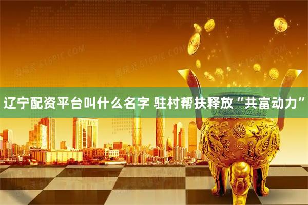 辽宁配资平台叫什么名字 驻村帮扶释放“共富动力”