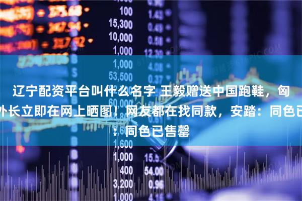 辽宁配资平台叫什么名字 王毅赠送中国跑鞋，匈牙利外长立即在网上晒图！网友都在找同款，安踏：同色已售罄