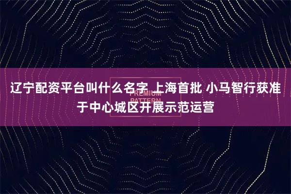 辽宁配资平台叫什么名字 上海首批 小马智行获准于中心城区开展示范运营