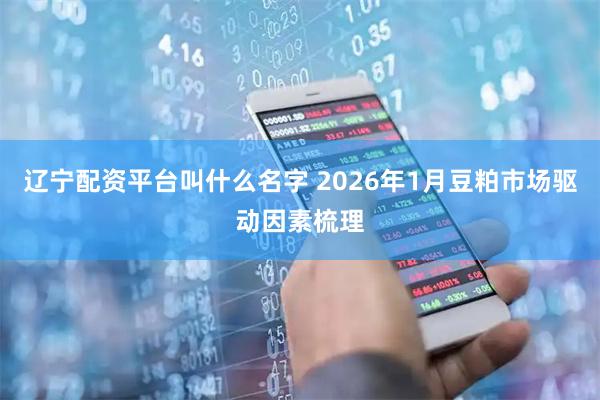 辽宁配资平台叫什么名字 2026年1月豆粕市场驱动因素梳理