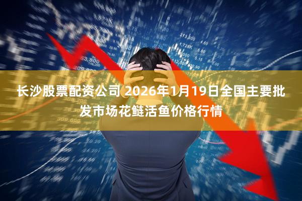 长沙股票配资公司 2026年1月19日全国主要批发市场花鲢活鱼价格行情
