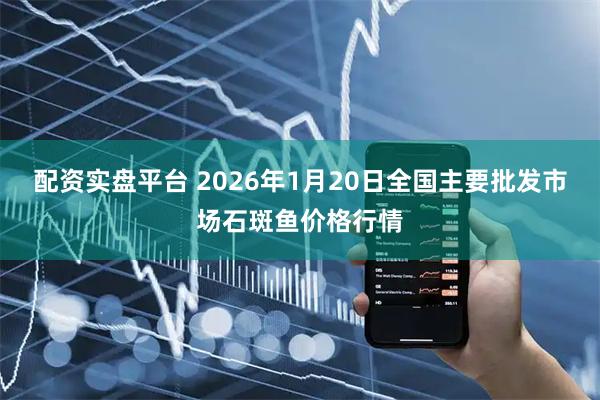 配资实盘平台 2026年1月20日全国主要批发市场石斑鱼价格行情