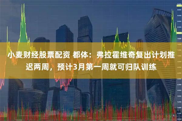 小麦财经股票配资 都体：弗拉霍维奇复出计划推迟两周，预计3月第一周就可归队训练