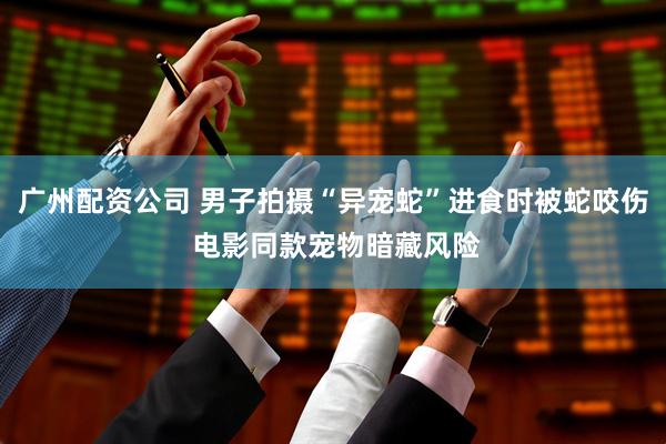 广州配资公司 男子拍摄“异宠蛇”进食时被蛇咬伤 电影同款宠物暗藏风险