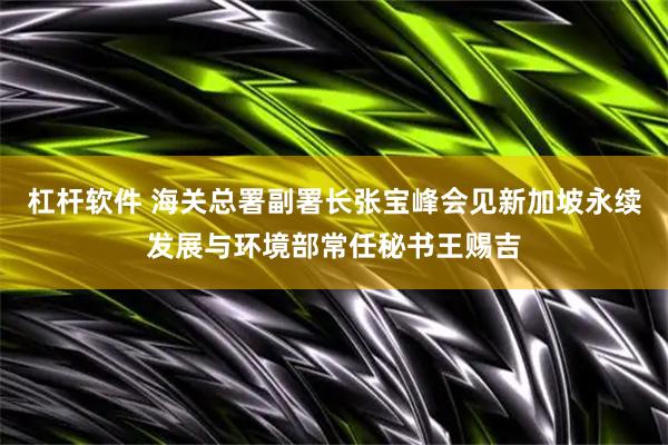 杠杆软件 海关总署副署长张宝峰会见新加坡永续发展与环境部常任秘书王赐吉