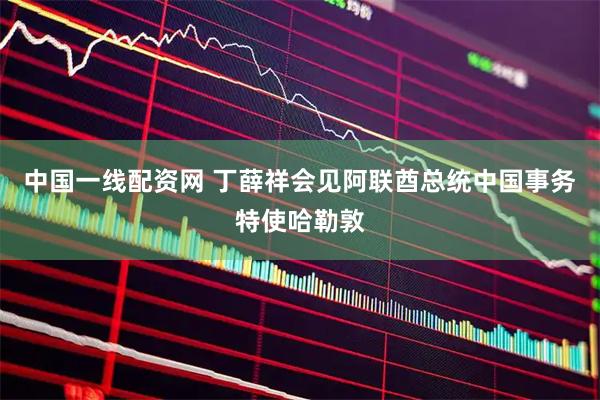 中国一线配资网 丁薛祥会见阿联酋总统中国事务特使哈勒敦