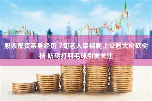 股票配资亲身经历 7旬老人架梯爬上公园大树砍树枝 妨碍打羽毛球引发关注