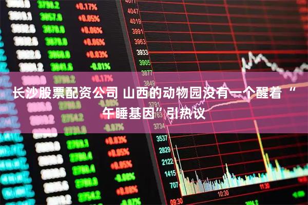 长沙股票配资公司 山西的动物园没有一个醒着 “午睡基因”引热议